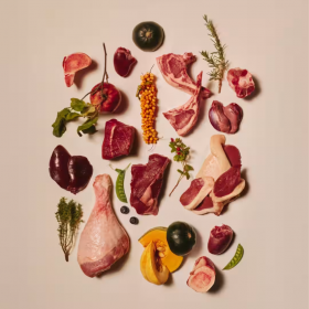 Супер премиум пауч в желе за котки  Carnilove Pheasant & Raspberry Leaves с пуешко месо, фазан и листа от малина 85 гр